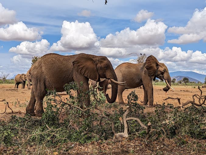 Second slide of the carousel